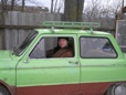 Аватар пользователя