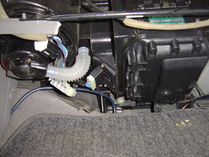 DSC03212.jpg