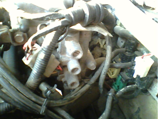 IMG0005A.jpg