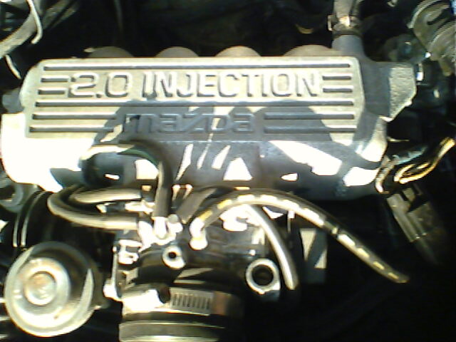 IMG0006A.jpg