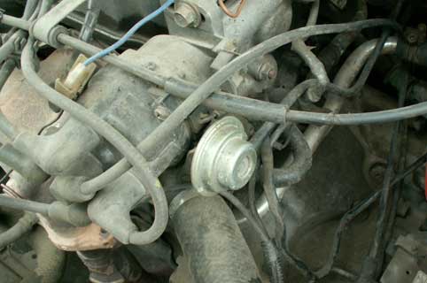 PICT10005.jpg