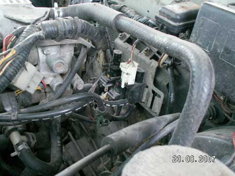 PICT10006.jpg