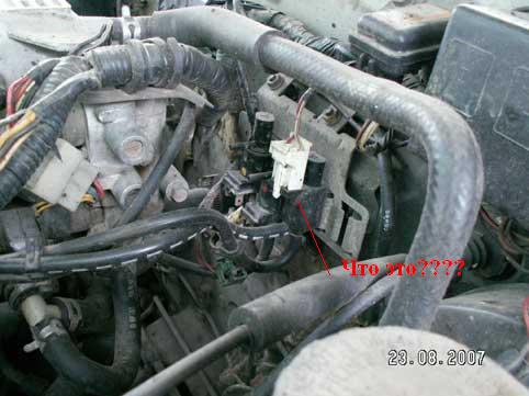 pict100061.jpg