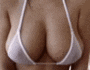 .gif