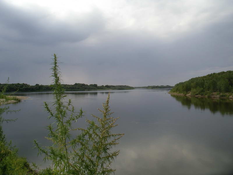 _IMGP2932.jpg