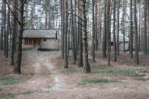 IMG_3969.jpg