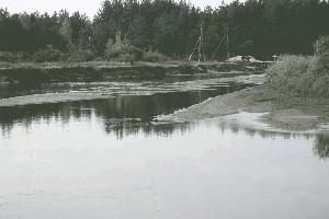 IMG_3941.jpg