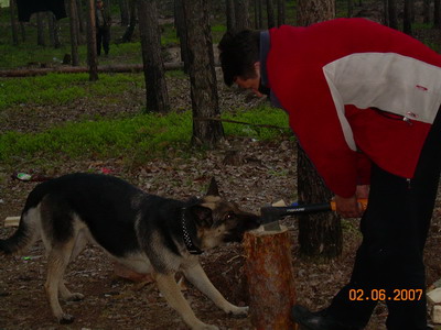 DSCN0690.jpg