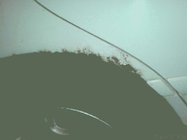 dsc00068-f.jpg