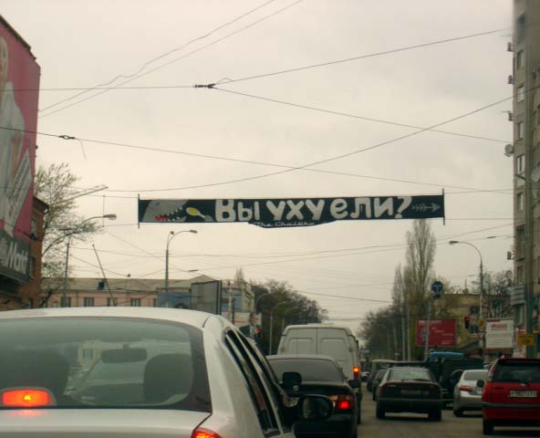 1231.jpg