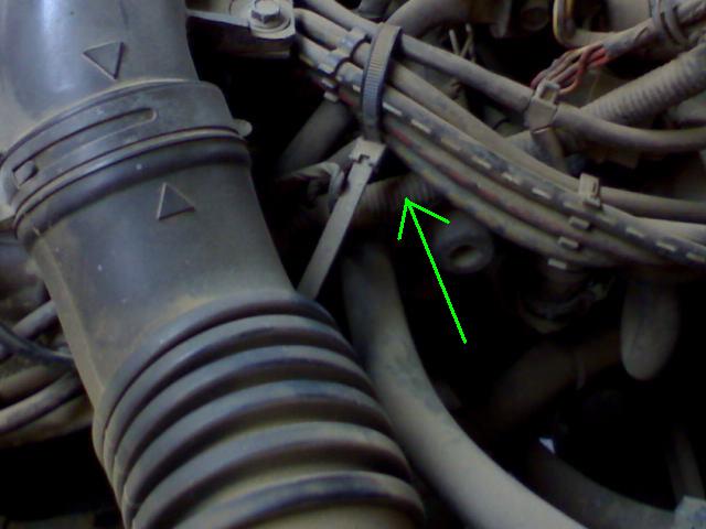 DSC00289.JPG