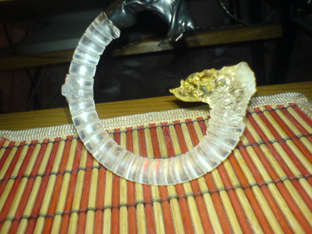 DSC02133.JPG