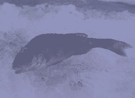 PC163346_01.jpg