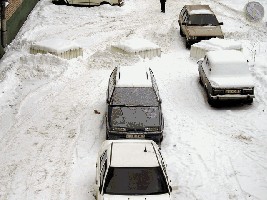  прижатые ушки1.JPG