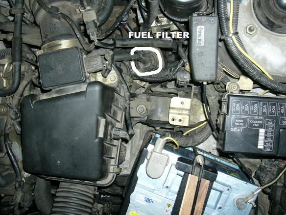 Fuel Filter111.JPG