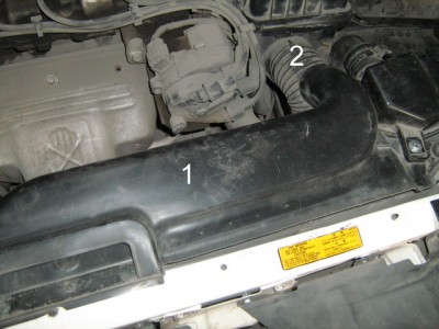 Image2.jpg