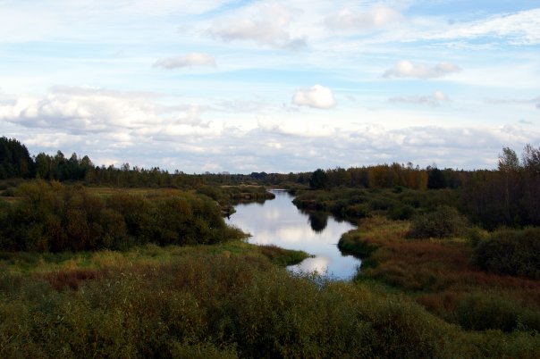 x_153a4717.jpg