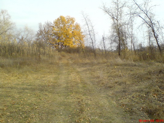 DSC00665_resize.JPG