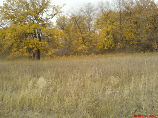 DSC00667_resize.JPG