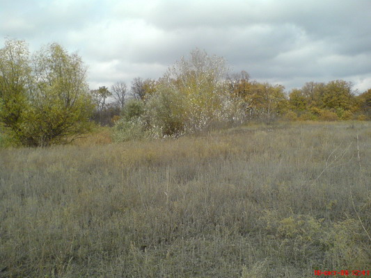 DSC00668_resize.JPG