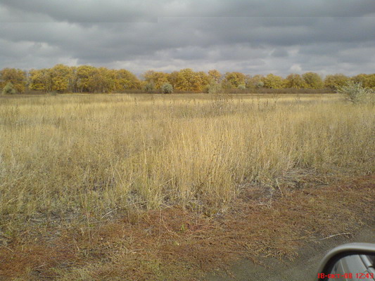 DSC00669_resize.JPG