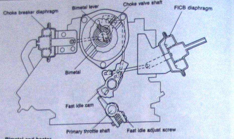 FICB.jpg