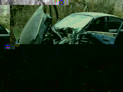 SANY1311.JPG