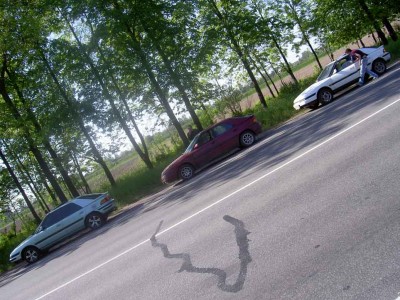 PICT0768 3.jpg