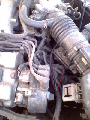 IMG0044A.jpg