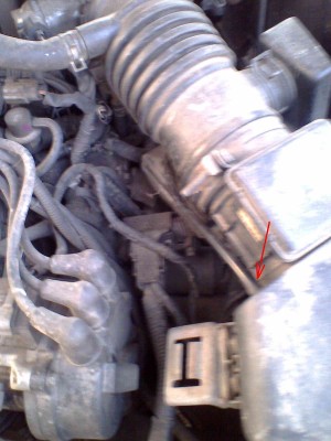 IMG0045A.jpg