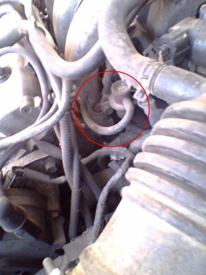 IMG0046A.jpg