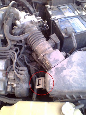 IMG0047A.jpg