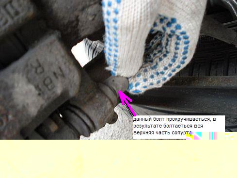 50802878.jpg