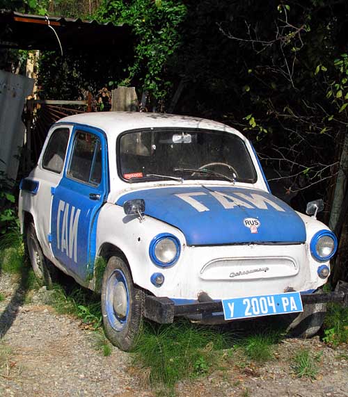 2429466jo7.jpg