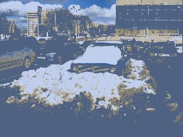 IMG_5725.jpg