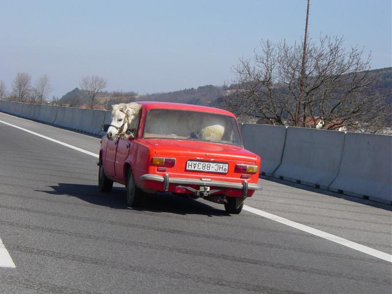 ferrari21.jpg