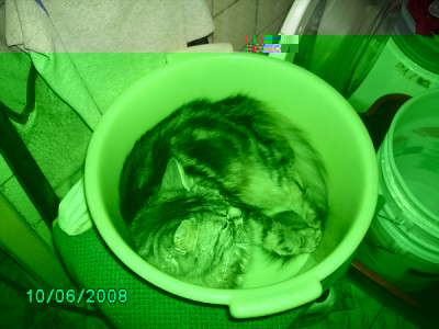 PICT0065.JPG