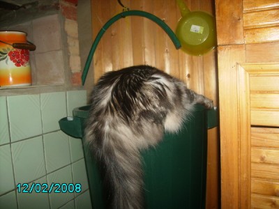 PICT0152.JPG