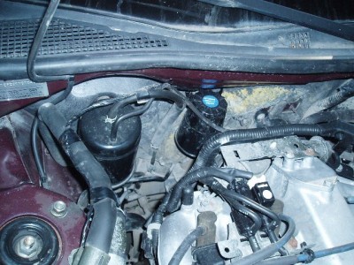 P1010031.JPG
