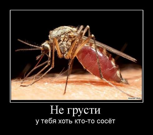 1249311949_04300000.jpg