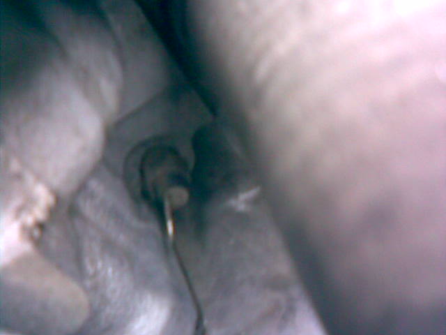 23082009.jpg