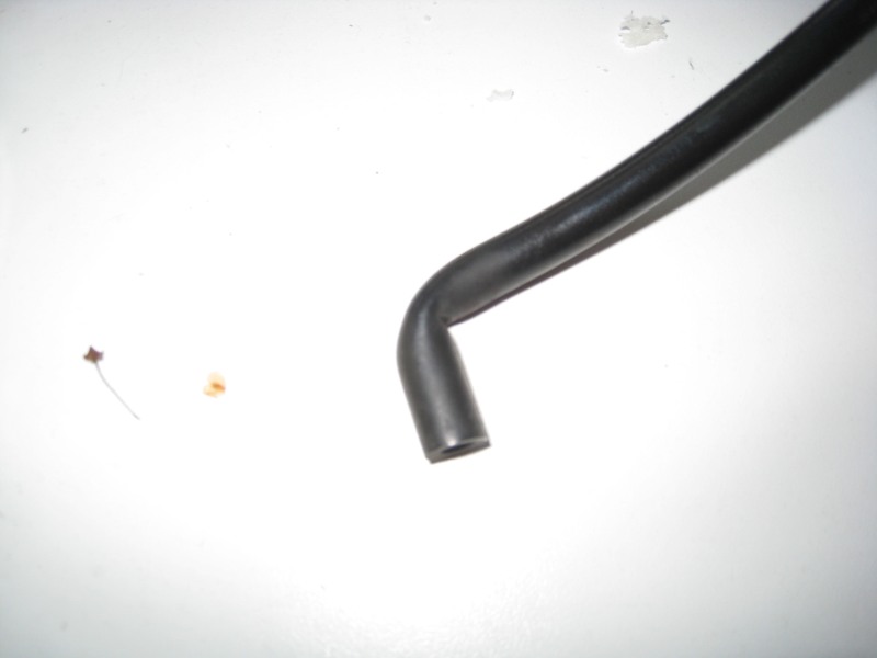 EGR vacuum hose.jpg