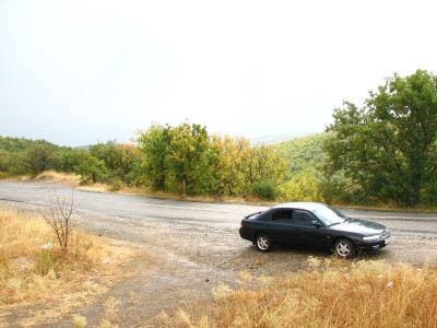 IMG_2546.jpg