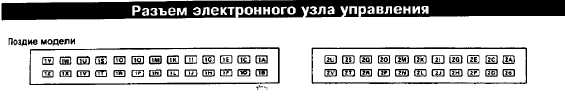 Inj02.jpg
