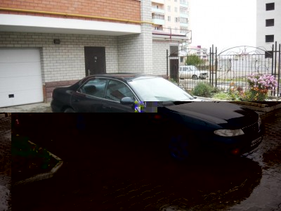 P1000374.JPG