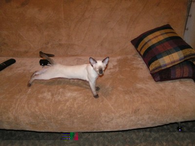 PICT0012.JPG