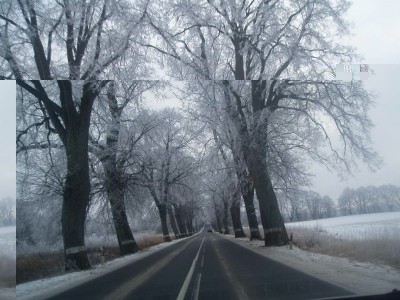 P1140790_новый размер_2.jpg