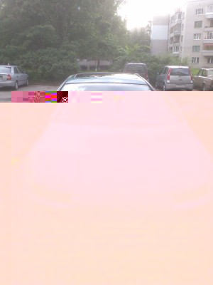 197.jpg