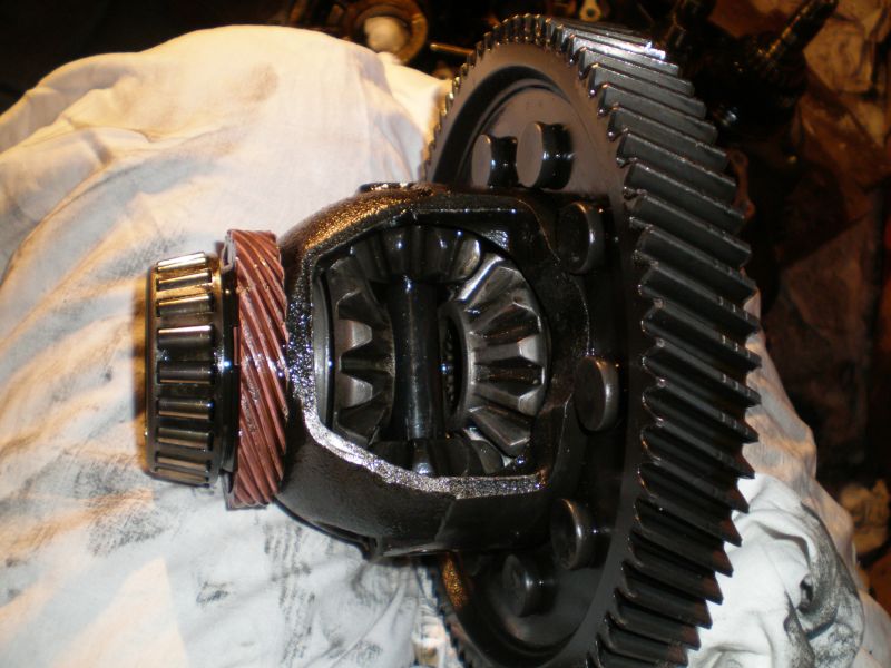 P1110230.JPG