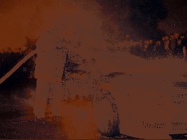 101.jpg